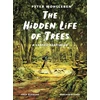 KNYGA Peter Wohlleben Hidden Life of Trees, A Graphic Adaptation