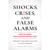 KNYGA Philipp Carlsson Szlezak Shocks, Crises, and False Alarms