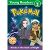 KNYGA Pokemon Young Readers Level 3: Rivals in the Dark of Night