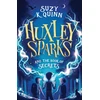 KNYGA QUINN Huxley Sparks and the Book of Secrets