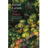 KNYGA Rachel Carson Lost Woods