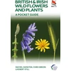 KNYGA Rachel Hamilton British and Irish Wild Flowers and Plants, A Pocket Guide