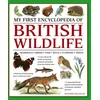 KNYGA Richard Mcginlay My First Encyclopedia of British Wildlife, Mammals, Birds, Fish, Bugs, Flowers, Trees