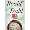 KNYGA Roald Dahl Boy