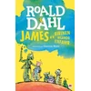 KNYGA Roald Dahl James a'r Eirinen Wlanog Enfawr