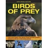 KNYGA Robin Kerrod Exploring Nature: Birds of Prey