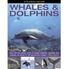 KNYGA Robin Kerrod Exploring Nature: Whales & Dolphins