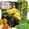 KNYGA Robin Twiddy Rot &amp; Mould