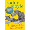 KNYGA Roddy Doyle Meanwhile Adventures