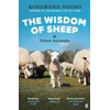 KNYGA Rosamund Young The Wisdom of Sheep &amp; Other Animals, Observations from a Family Farm