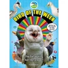KNYGA RSPB Bird of the Week, The TikTok thing but, like, a book?
