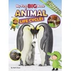 KNYGA Ruth Owen My First BIG Book of ANIMAL Life Cycles