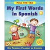 KNYGA Sally Delaney Pull the Tab: My First Words in Spanish
