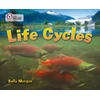 KNYGA Sally Morgan Life Cycles, Band 16/Sapphire