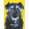 KNYGA Sally Muir Old Dogs