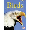KNYGA Samantha Gray BC NF Pilkas B/4C Birds