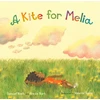 KNYGA Samuel Narh Kite for Melia