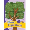 KNYGA Sara Wernham Grammar 1 Pupil Book