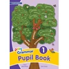 KNYGA Sara Wernham Grammar 1 Pupil Book, In Print Letters (British English edition)