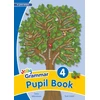 KNYGA Sara Wernham Grammar 4 Pupil Book, In Print Letters (British English edition)