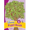 KNYGA Sara Wernham Grammar 6 Pupil Book, In Precursive Letters (British English edition)