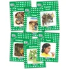 KNYGA Sara Wernham Jolly Phonics Readers, Nonfiction, Level 3