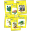 KNYGA Sara Wernham Jolly Phonics Readers, Nonfiction, Level 2