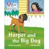KNYGA Sarah Snashall Harper and the Big Dog
