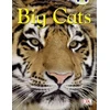 KNYGA Sarah Walker BC NF Brown B/3B Big Cats