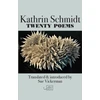 KNYGA Schmidt Twenty Poems