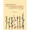 KNYGA Schulz Bernd Identification of Trees and Shrubs in Winter using Buds and Twigs