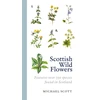 KNYGA Scott Michael Scottish Wild Flowers
