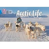 KNYGA Sean Callery Arctic Life