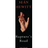KNYGA Sean Hewitt Rapture's Road, From the author of All Down Darkness Wide