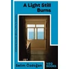 KNYGA Selim Ozdogan Light Still Burns, Part 3 of the Anatolian Blues trilogy