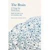 KNYGA Sophie Scott Brain
