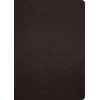 KNYGA Spck ESV Study Bible, Large Print