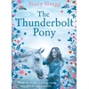 KNYGA Stacy Gregg Thunderbolt Pony