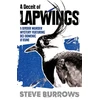 KNYGA Steve Burrows Deceit of Lapwings