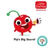 KNYGA Steve James Pip's Big Secret: Accessible Symbolised Edition
