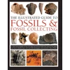 KNYGA Steve Parker Fossils &amp; Fossil Collecting, The Illustrated Guide to, A reference guide to over 375 plant and animal fossils from around the globe and how to identify them, with over 950 photographs and artworks