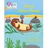 KNYGA Suzanne Senior Not in Otter's Pocket!