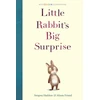 KNYGA Swapna Haddow Little Rabbit's Big Surprise