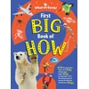 KNYGA Symes Sally First Big Book of How