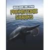 KNYGA Tammy Gagne Megalodon and Other Prehistoric Sharks