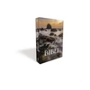 KNYGA Thomas Thomas Nelson Thomas Nelson NKJV, Holy Bible, Larger Print, Paperback: Holy Bible, New King James Version