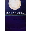 KNYGA Thrangu Rinpoche Essentials of Mahamudra