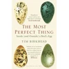KNYGA Tim Birkhead Most Perfect Thing, Inside (and Outside) a Bird’s Egg