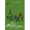 KNYGA Toni Morrison Mercy