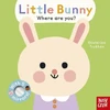 KNYGA Trukhan Ekaterina Baby Faces: Little Bunny, Where Are You?